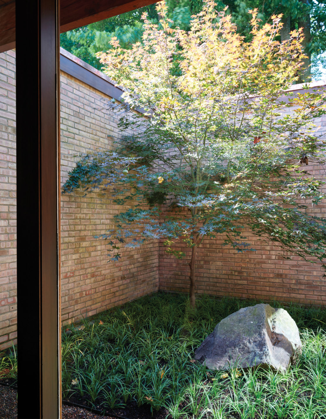 Robbins-Architecture-Lakeside-Midcentury-coutyard